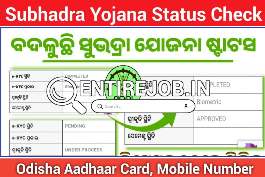 Subhadra Yojana Status Check Odisha